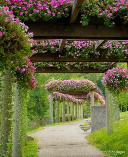Garden path